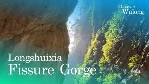 Wulong Longshuixia Fissure Gorge Travel Guide