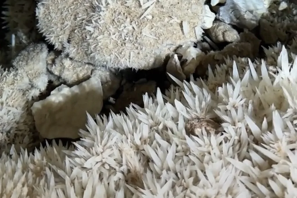 Furong Cave Wulong Chongqing