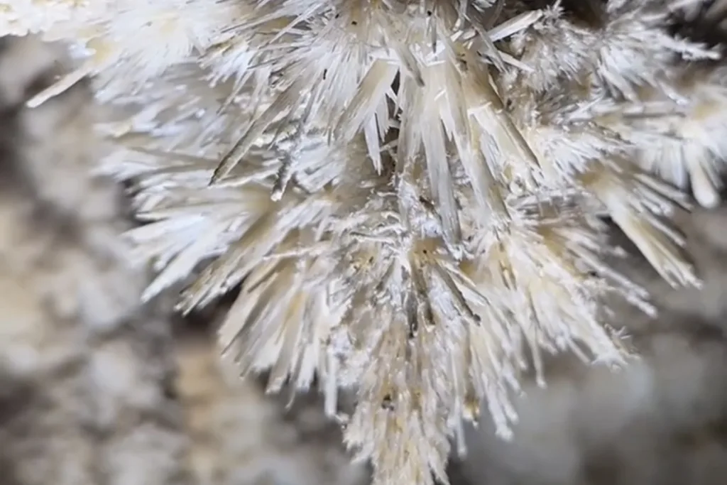 Furong Cave Wulong Chongqing