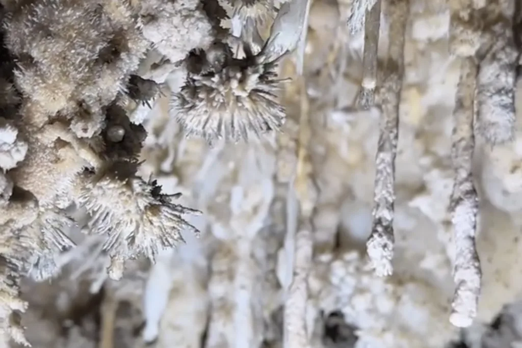Furong Cave Wulong Chongqing