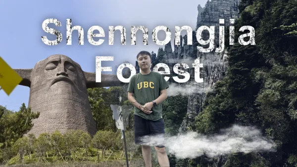 5 Days UNESCO Shennongjia National Primary Forest Park Road Trip Itinerary