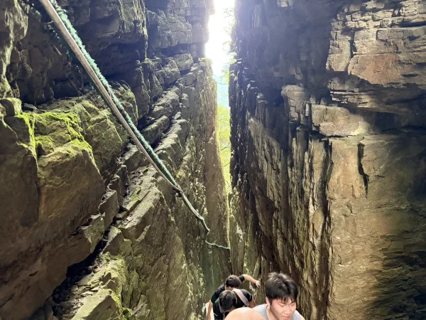 Golden Buddha Mountain Jinfo Mountain Hiking Trail Picture