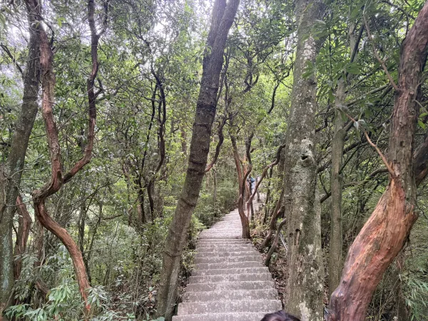 Golden Buddha Mountain Jinfo Mountain Hiking Trail Picture