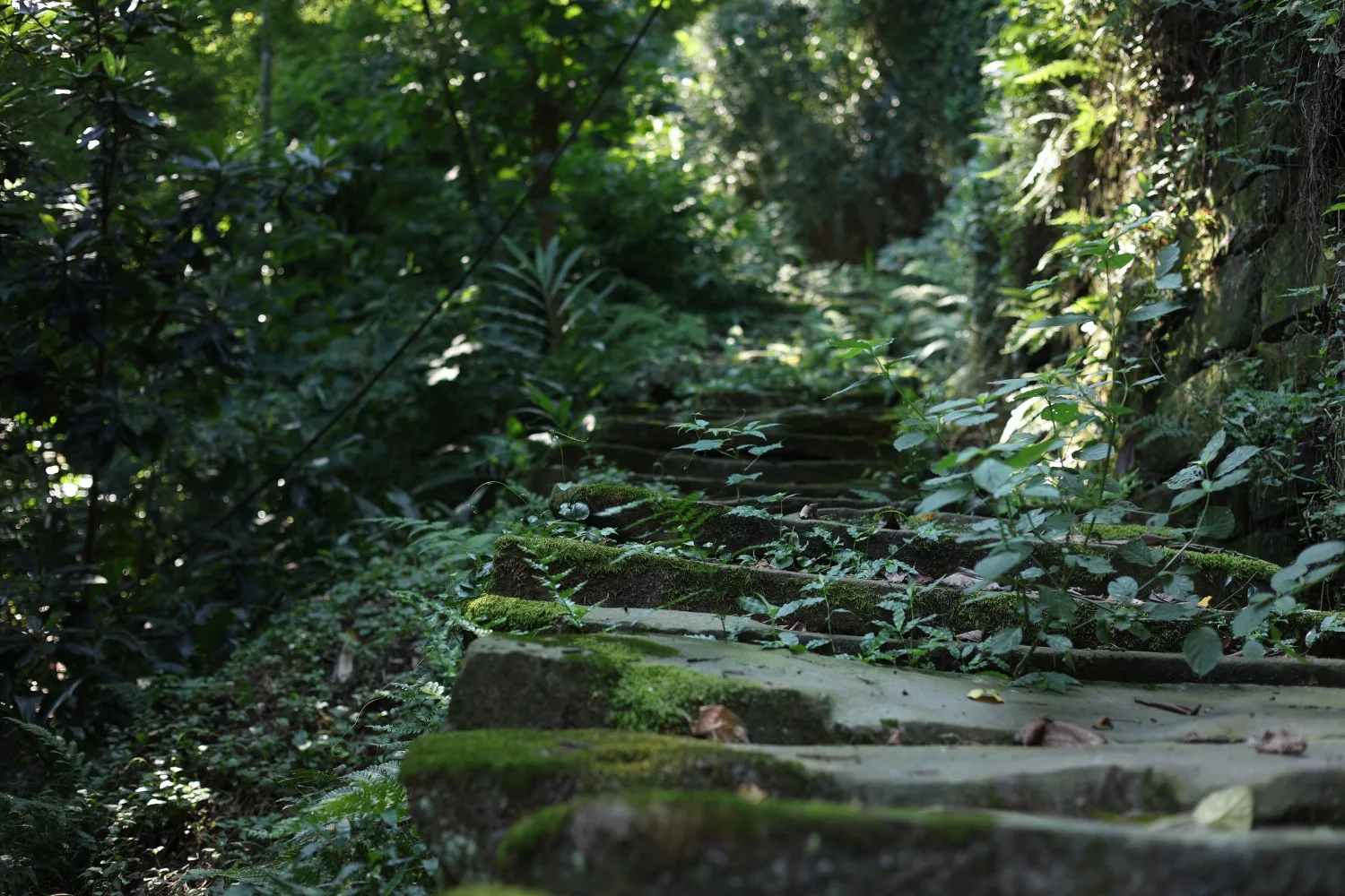 Qijiang Dongxi Ancient Town Ancient Trail