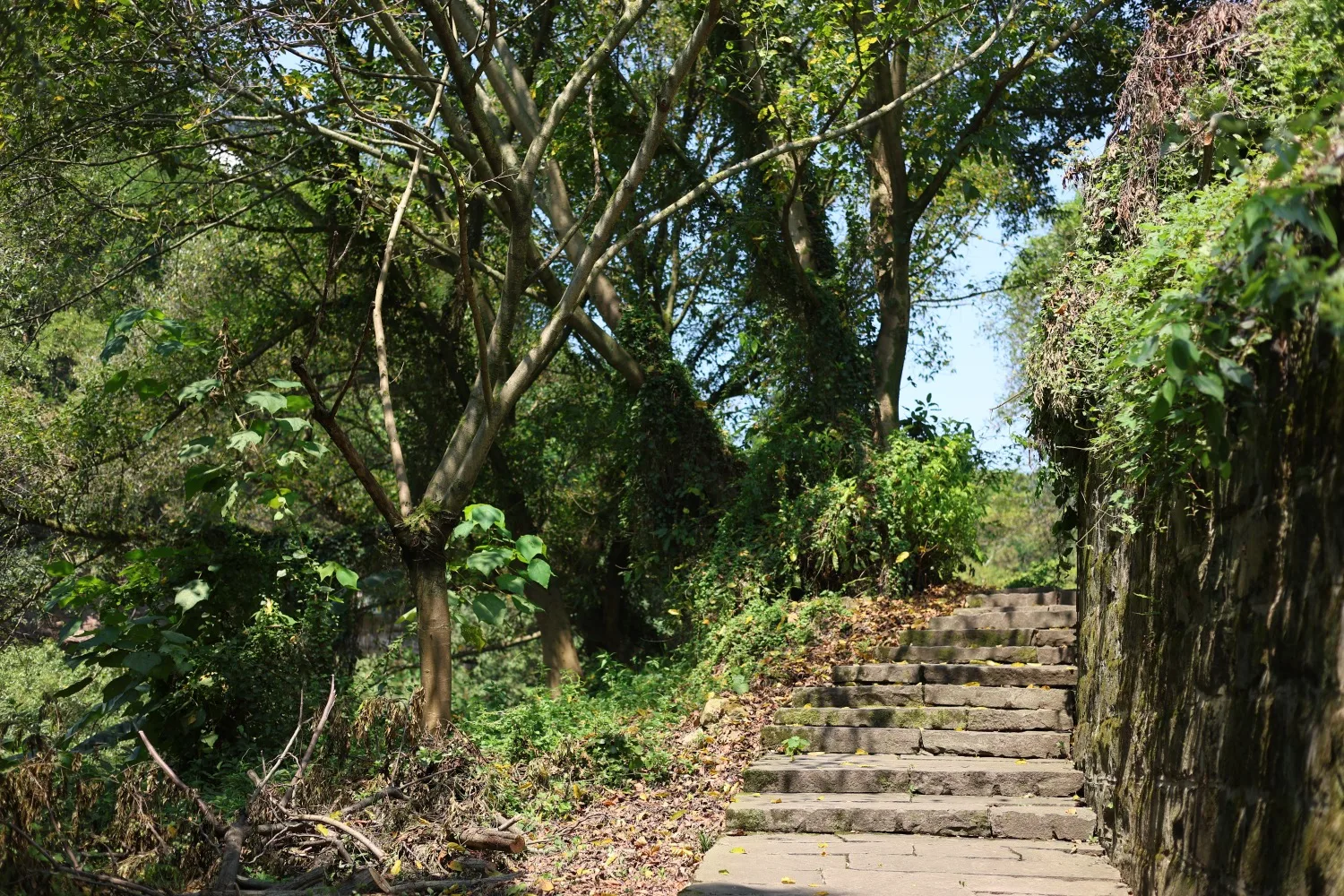 Qijiang Dongxi Ancient Town Salt and Horse Trail