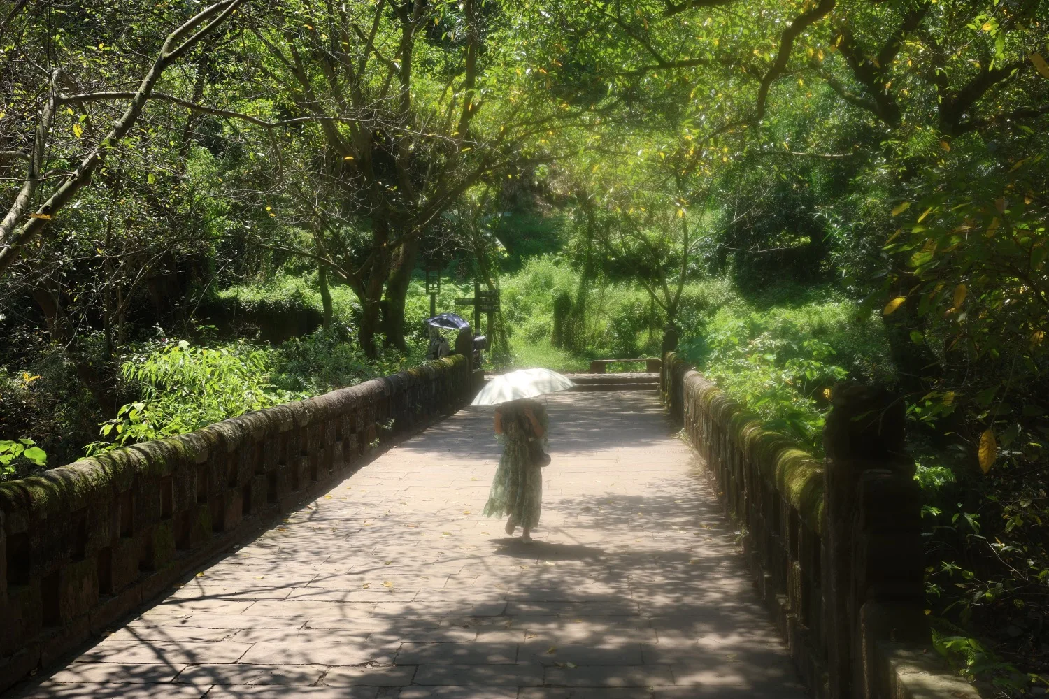 Qijiang Dongxi Ancient Town Taiping Bridge