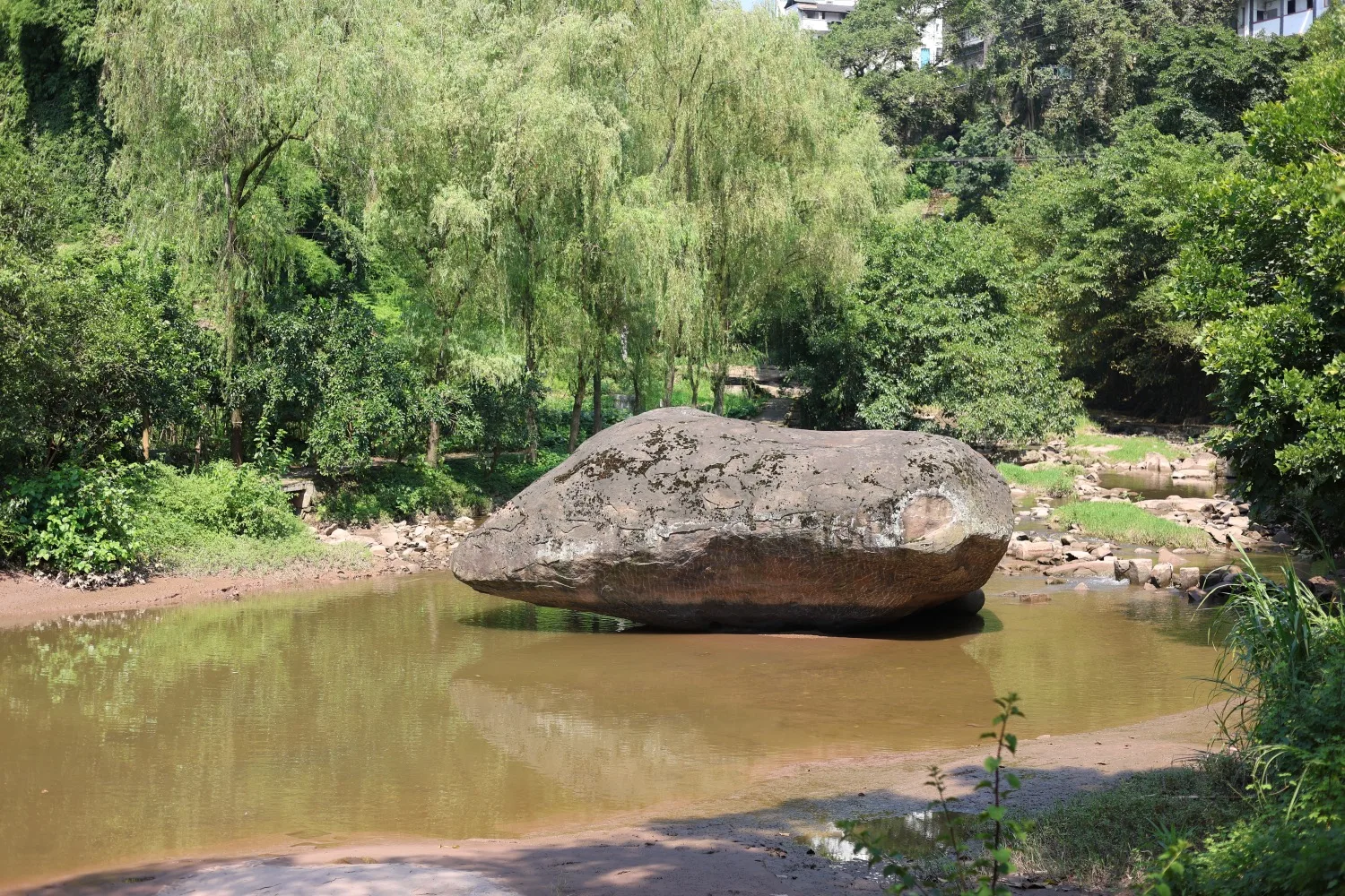 Qijiang Dongxi Ancient Town Turtle Stone