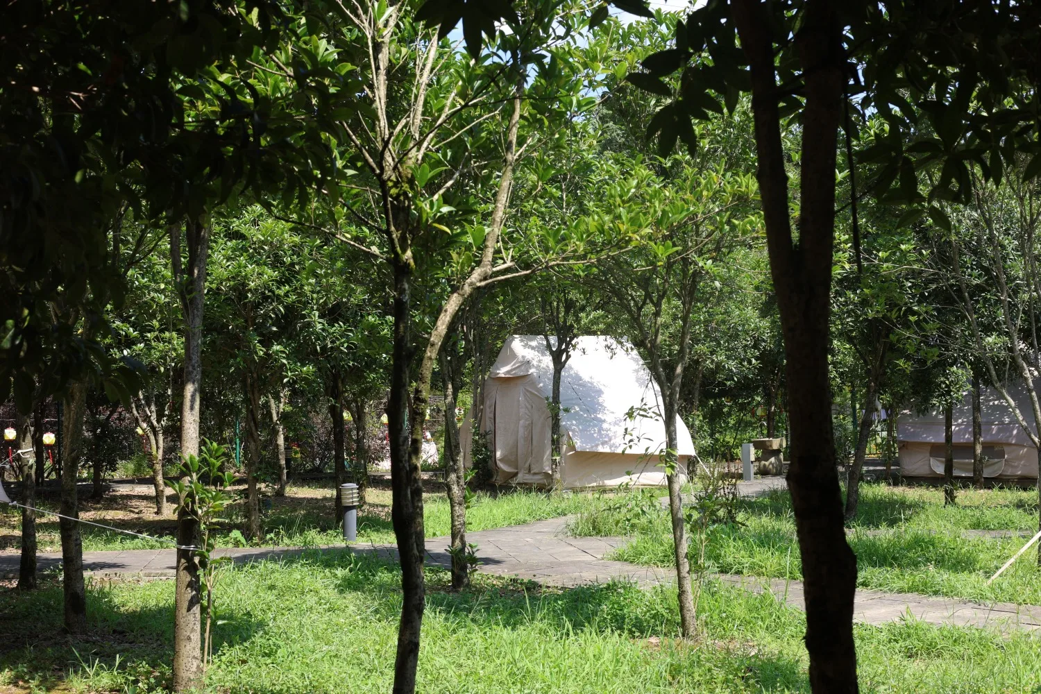 Shandi Starry Sky Camping Park Qijiang