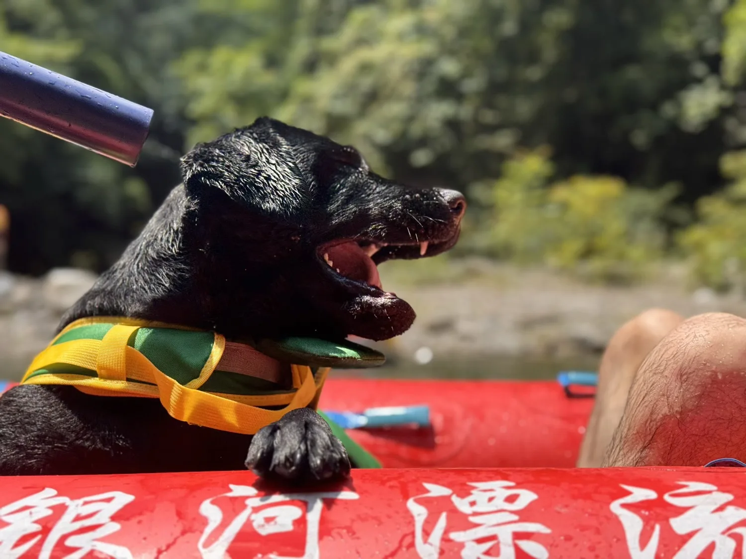 Shuiyinhe Whitewater Rafting