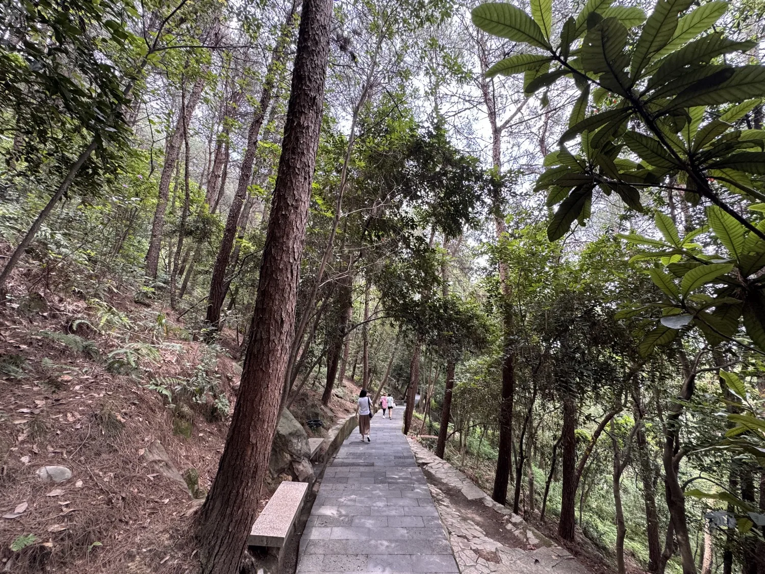 Tieshanping Xiajiang Hiking Trail