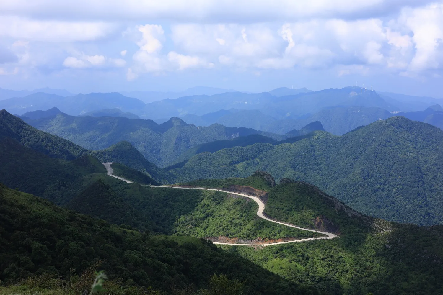 Wansheng Shizicao Road Trip
