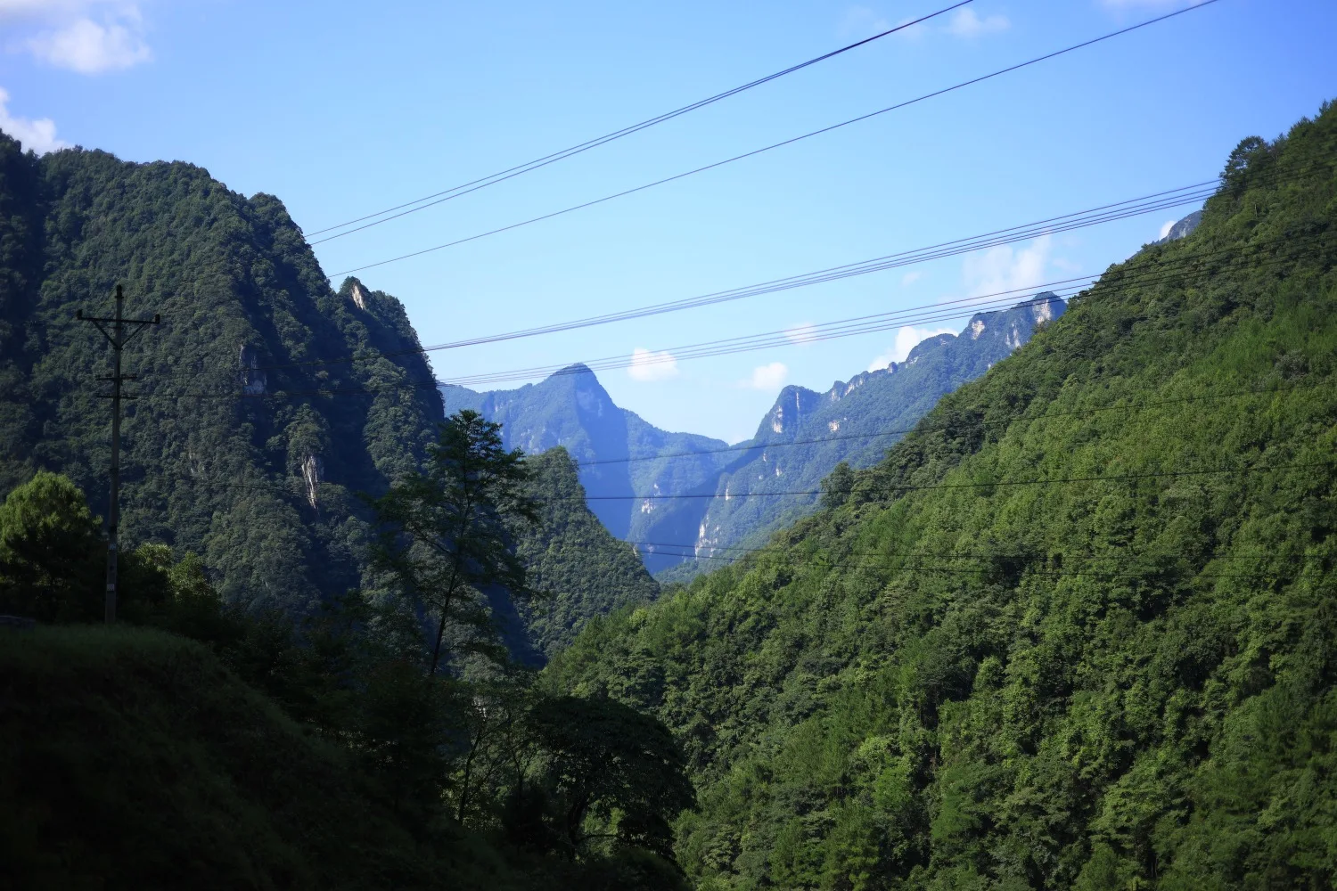 Wansheng Shizicao Road Trip