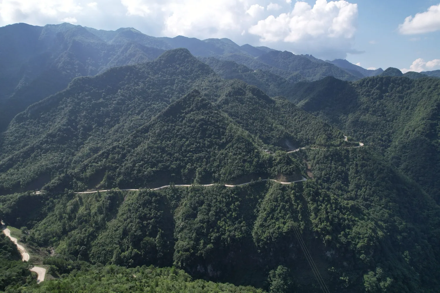 Wansheng Shizicao