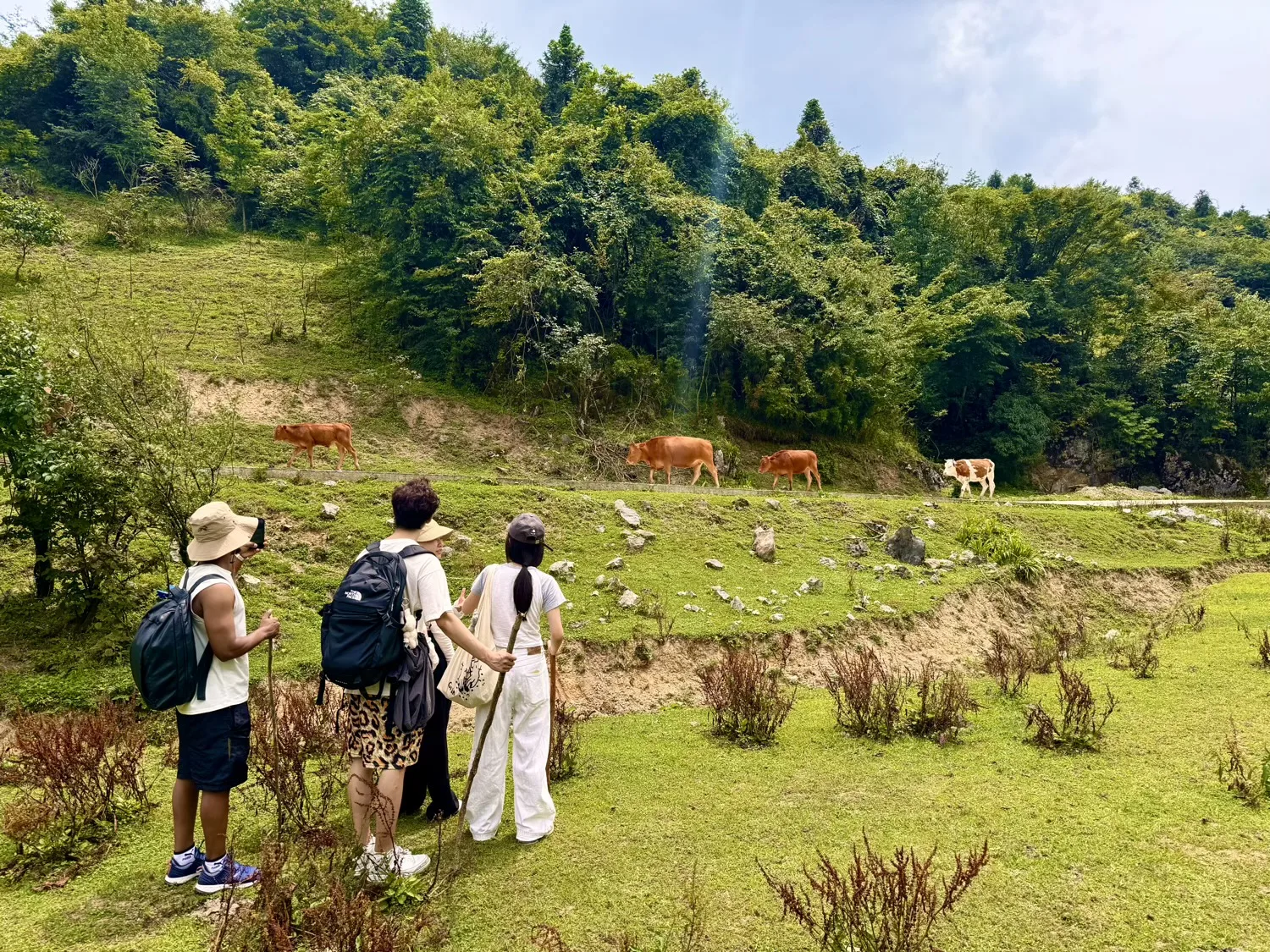 Chongqing Fuling Qiluping Hiking Trail