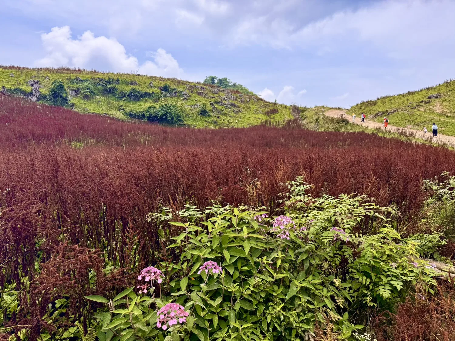Chongqing Fuling Qiluping Hiking Trail