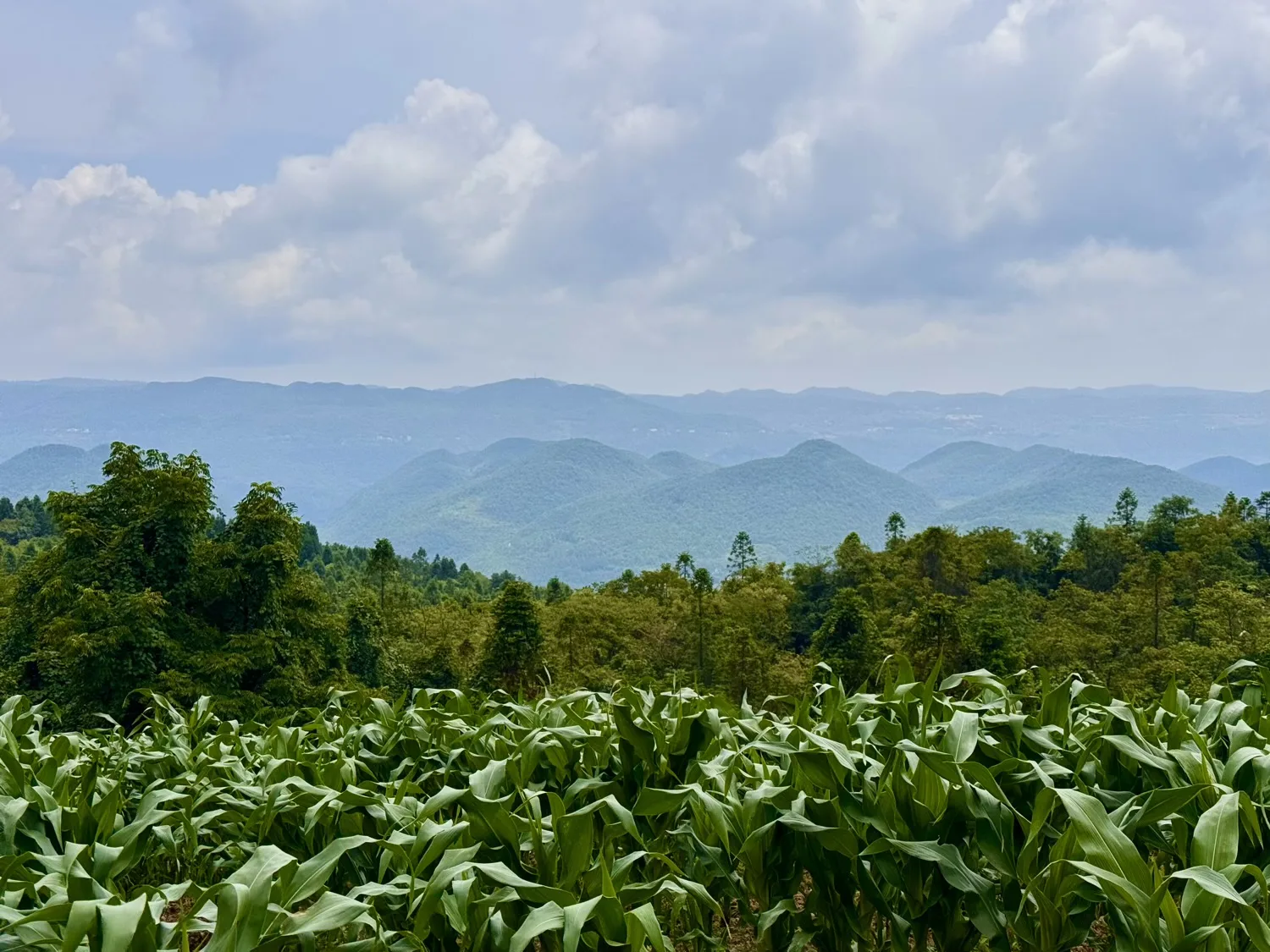 Chongqing Fuling Qiluping Hiking Trail