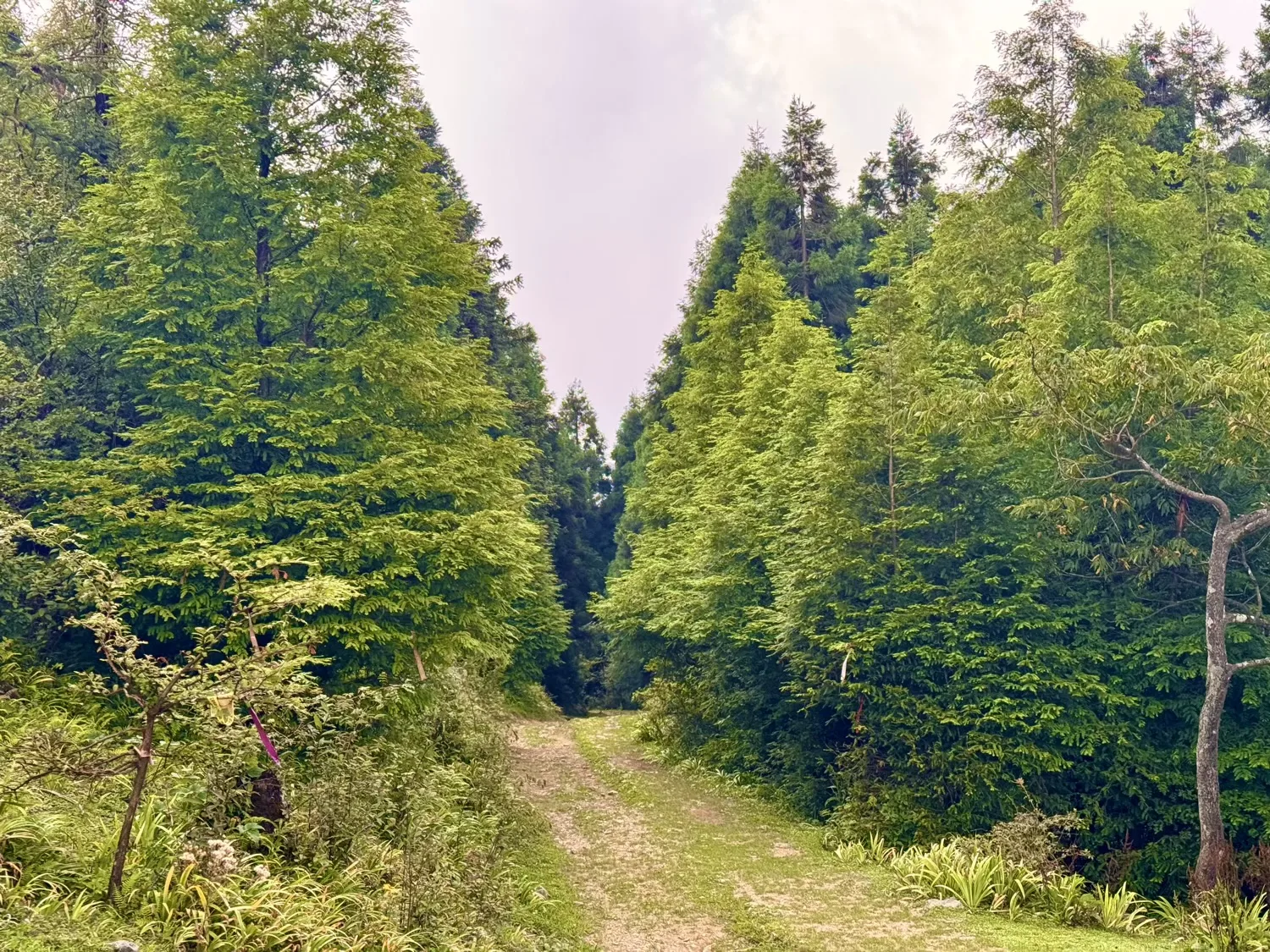 Chongqing Fuling Qiluping Hiking Trail