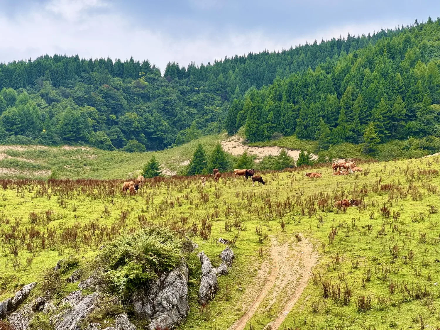 Chongqing Fuling Qiluping Hiking Trail