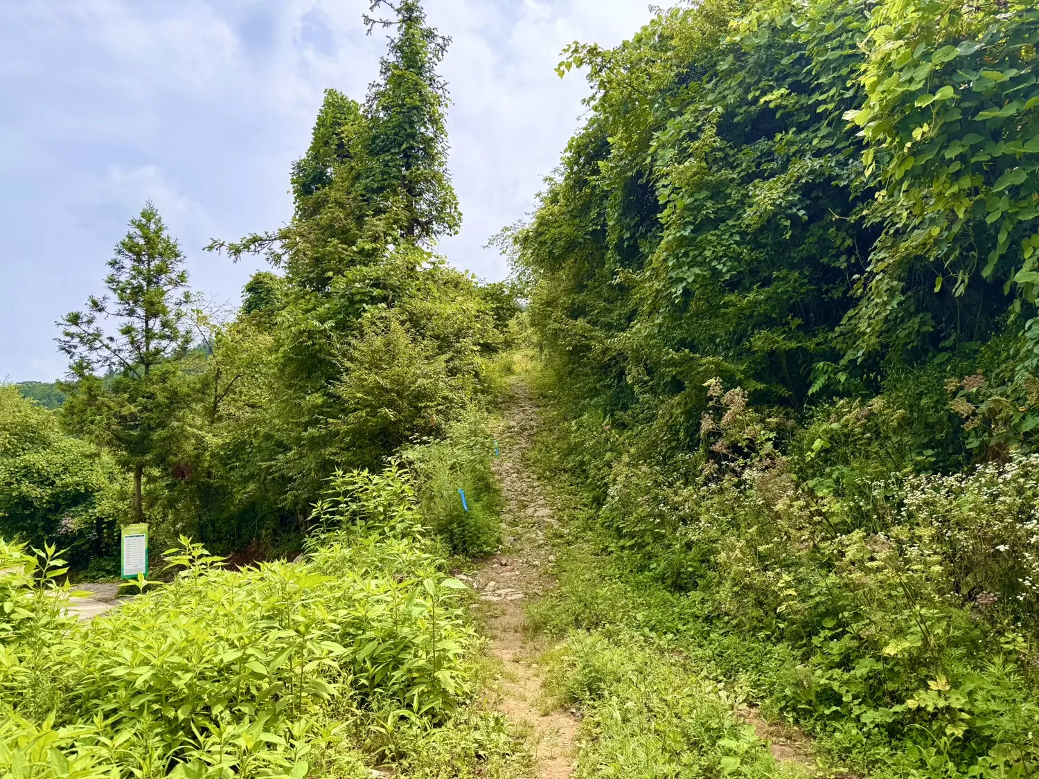 Chongqing Fuling Qiluping Hiking Trail