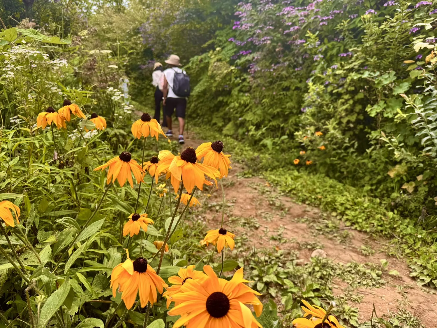 Chongqing Fuling Qiluping Hiking Trail