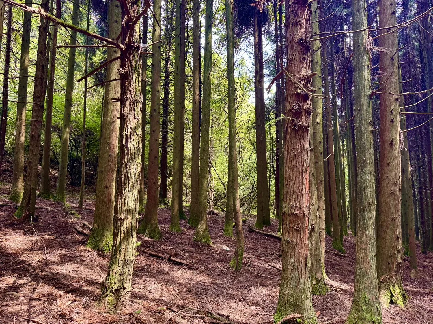 Chongqing Fuling Qiluping Hiking Trail