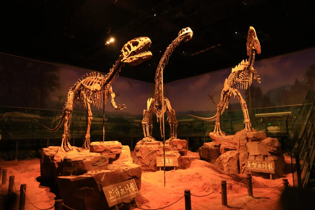 Yongchuan Museum Dinosaur Eggs