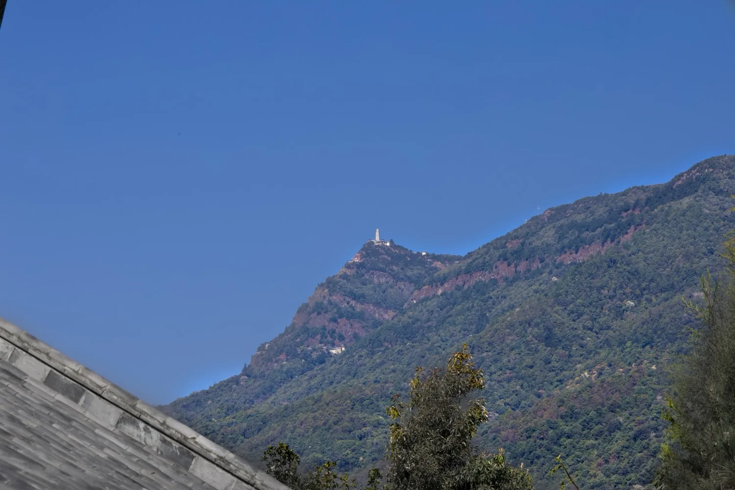 Buddhist Pagoda Temple