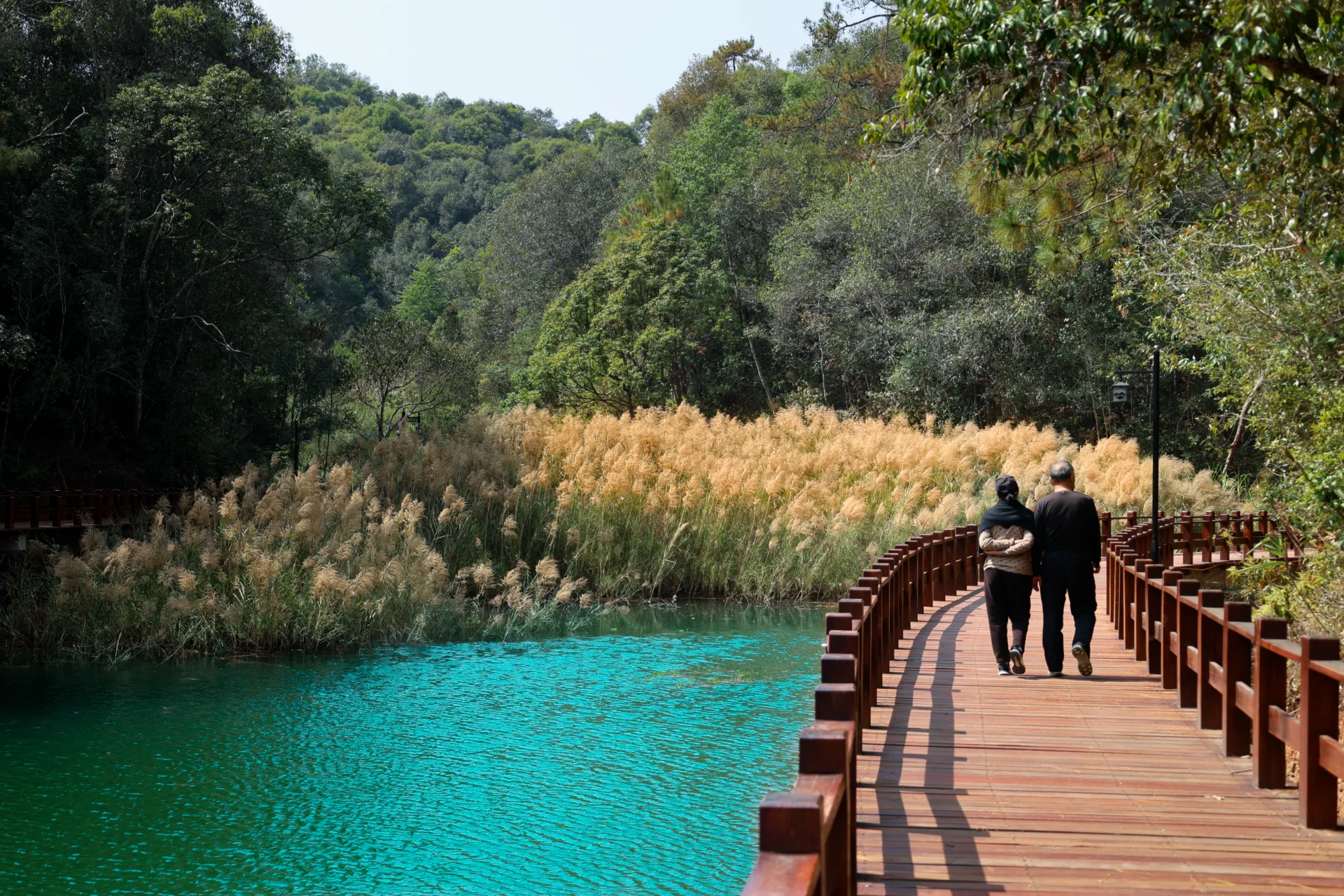 Walking trail at Pu'Er Meizihu Lake