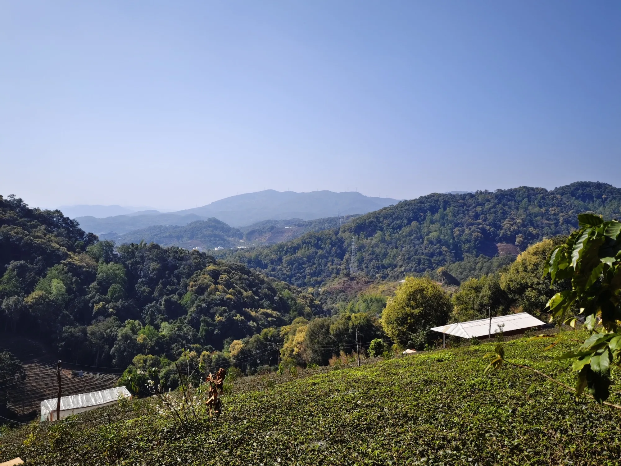 PuEr Ancient Tea Hourse Road