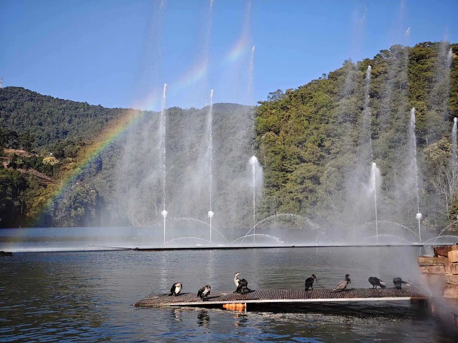 PuEr Ancient Tea Houre Road Dingbo Lake