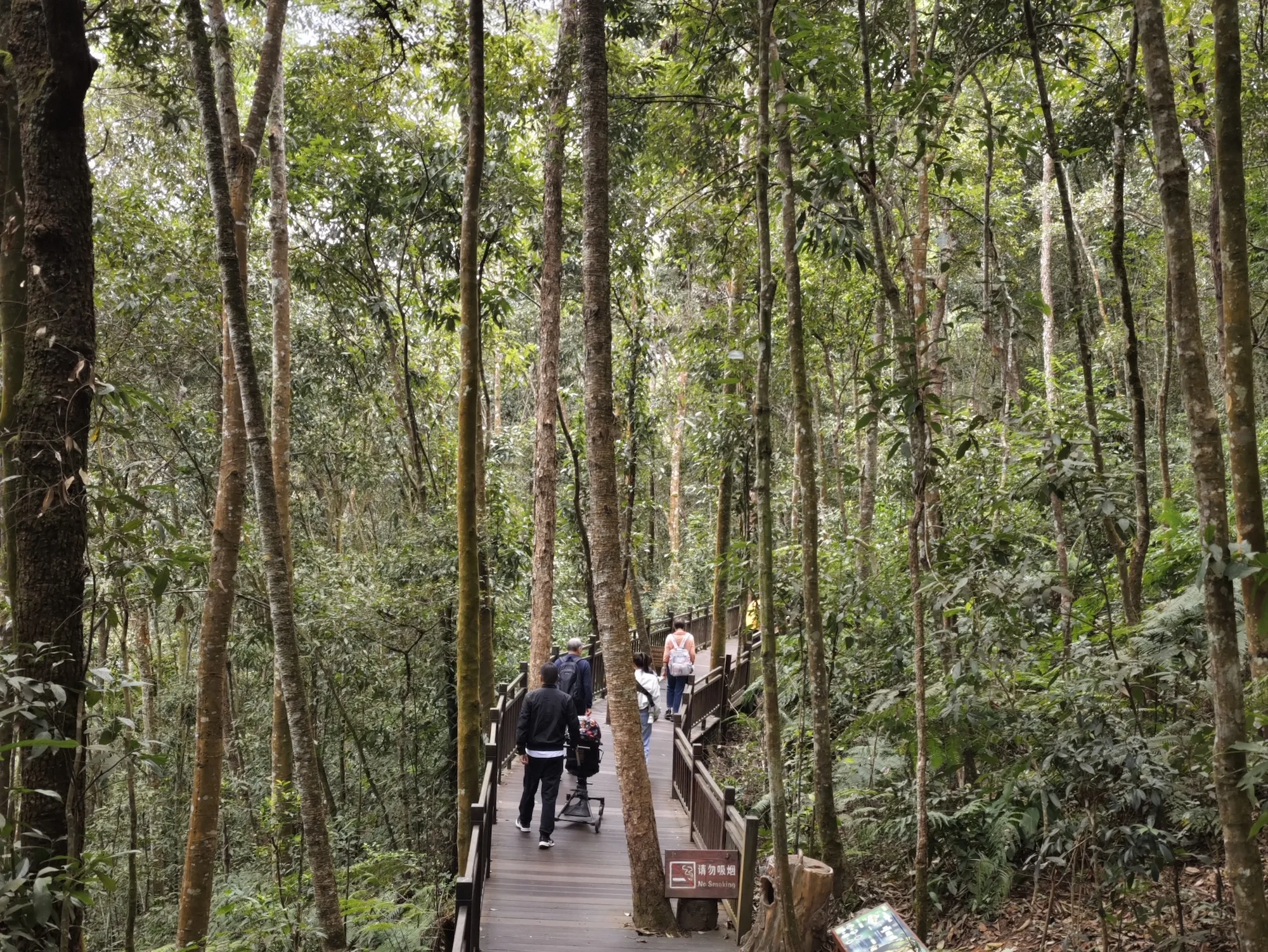 PuEr Sun River Forest Park