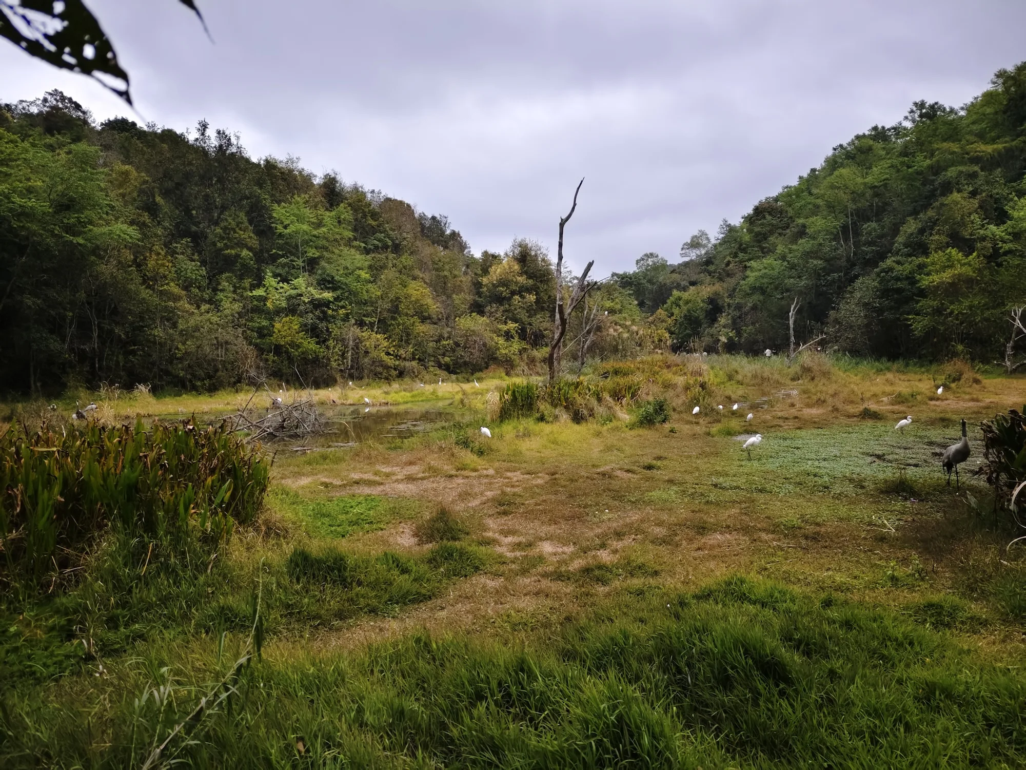PuEr Sun River Forest Park