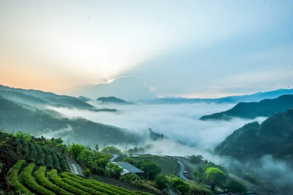 Sichuan Hongya Fuxing Town Tea Mountain