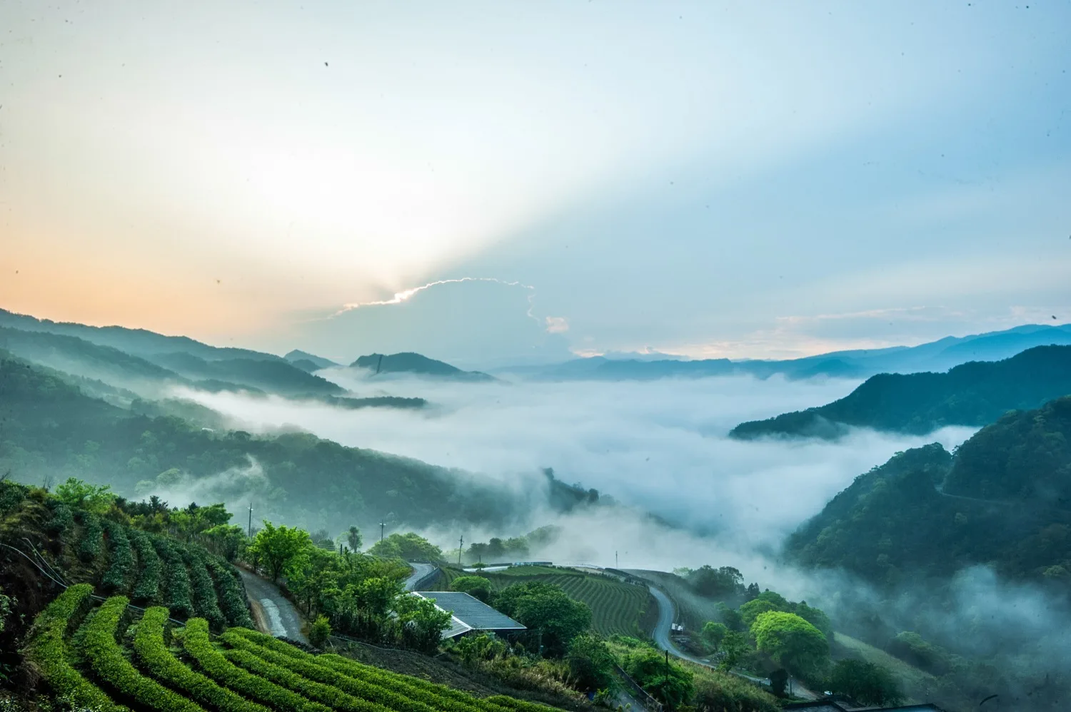 Sichuan Hongya Fuxing Town Tea Mountain