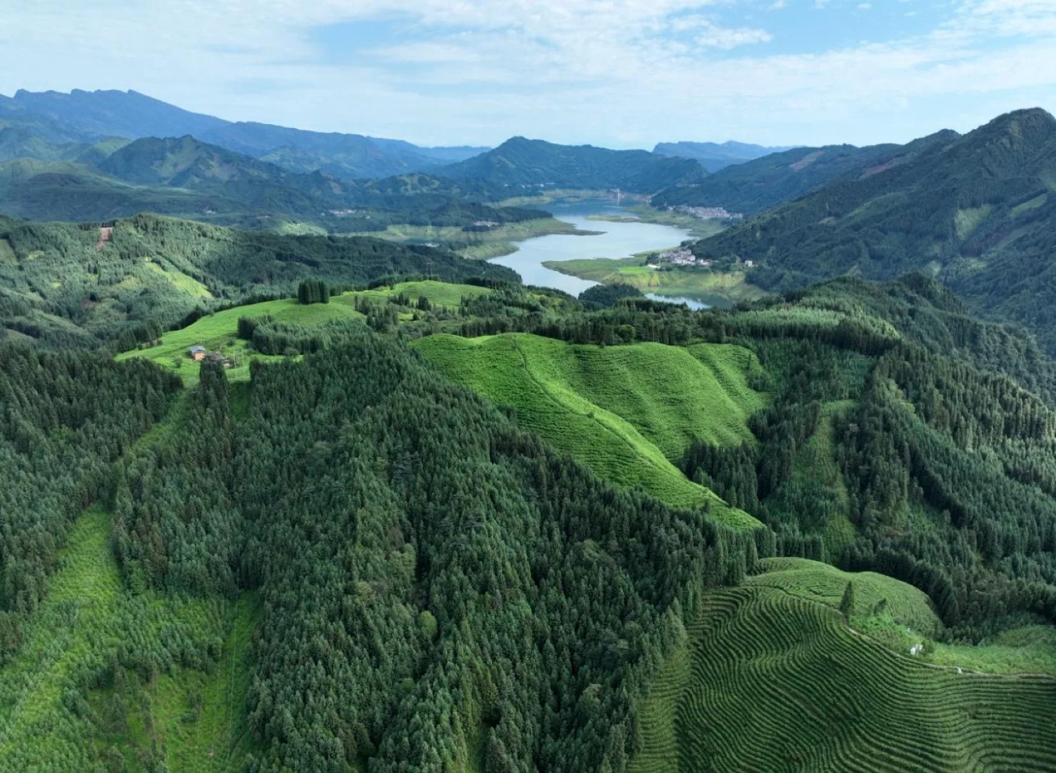 Sichuan Hongya Fuxing Town Tea Mountain